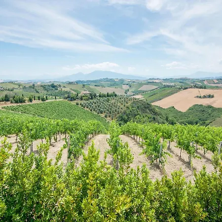 Charming In Near Village