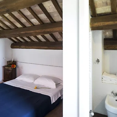 Charming In Near Village