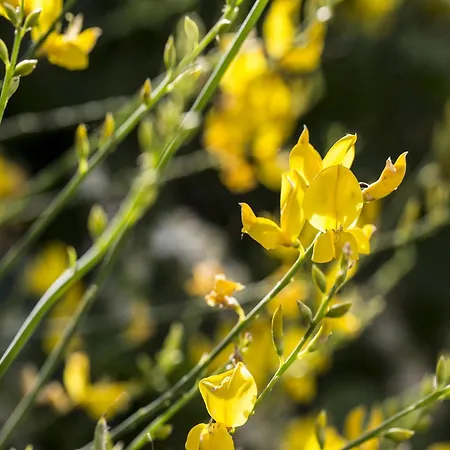 Apartment Charming In Near Village *